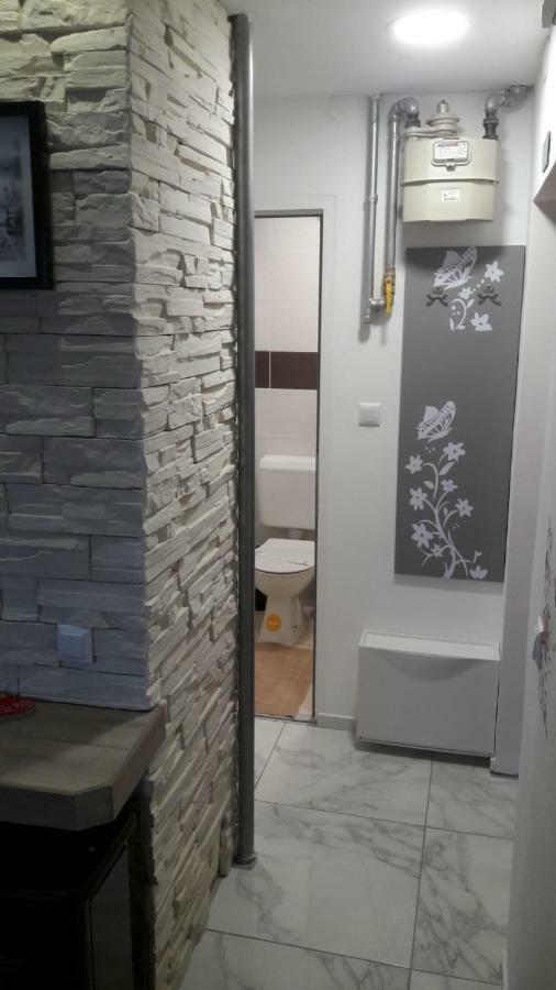 Studio Apartman Marija 萨格勒布 外观 照片